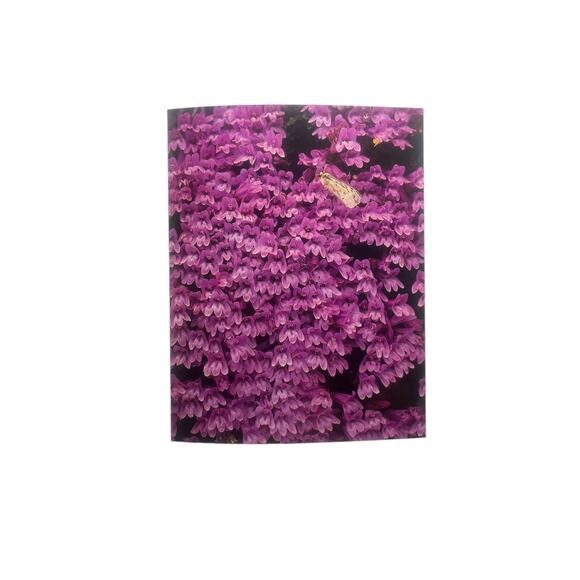 Wildflowers Across America SIGNED by Lady Bird Johnson and Carlton B Lees C1988 - Picture 8 of 10